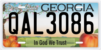 GA license plate QAL3086
