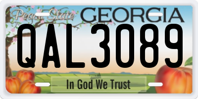 GA license plate QAL3089