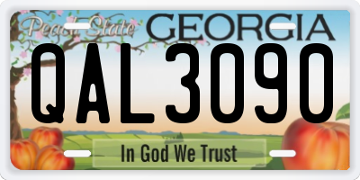 GA license plate QAL3090