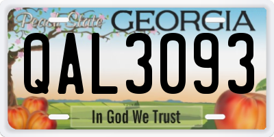 GA license plate QAL3093