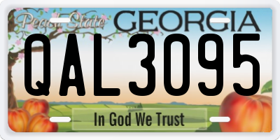 GA license plate QAL3095