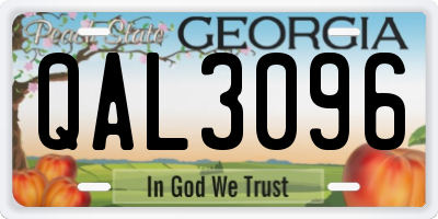 GA license plate QAL3096