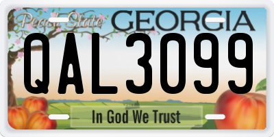 GA license plate QAL3099