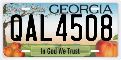 GA license plate QAL4508