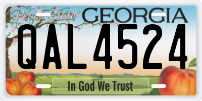GA license plate QAL4524