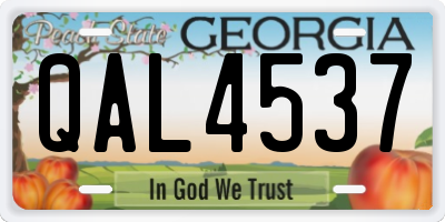 GA license plate QAL4537