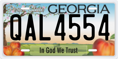 GA license plate QAL4554
