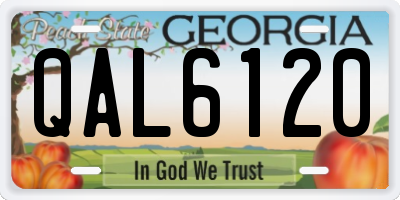 GA license plate QAL6120