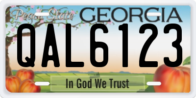 GA license plate QAL6123