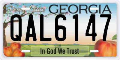 GA license plate QAL6147