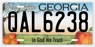 GA license plate QAL6238