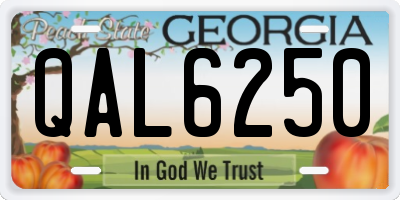 GA license plate QAL6250