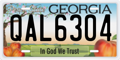 GA license plate QAL6304