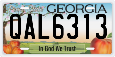 GA license plate QAL6313