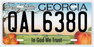 GA license plate QAL6380