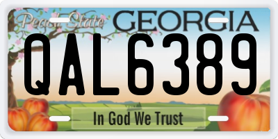 GA license plate QAL6389