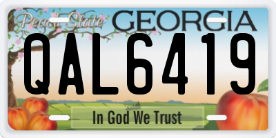 GA license plate QAL6419