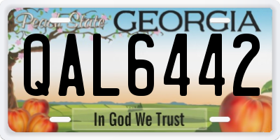 GA license plate QAL6442