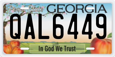 GA license plate QAL6449