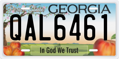 GA license plate QAL6461