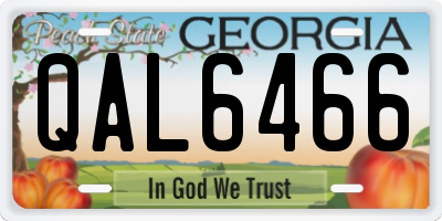 GA license plate QAL6466