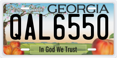 GA license plate QAL6550