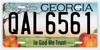 GA license plate QAL6561