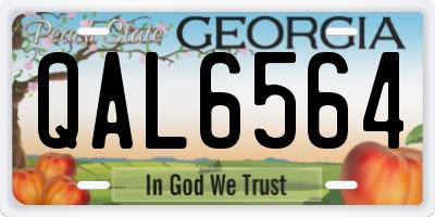 GA license plate QAL6564