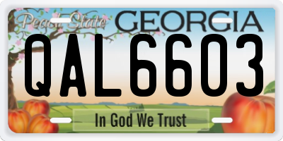 GA license plate QAL6603