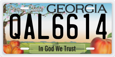 GA license plate QAL6614