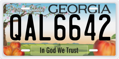 GA license plate QAL6642