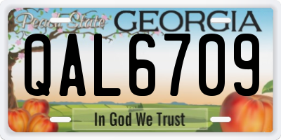 GA license plate QAL6709