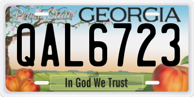 GA license plate QAL6723