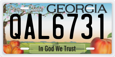 GA license plate QAL6731