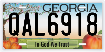 GA license plate QAL6918