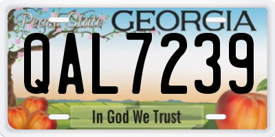GA license plate QAL7239
