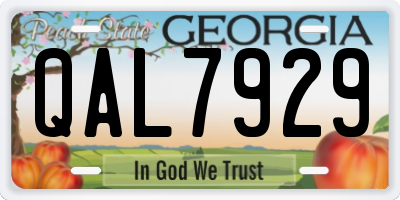 GA license plate QAL7929
