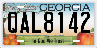 GA license plate QAL8142