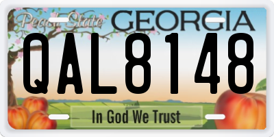 GA license plate QAL8148