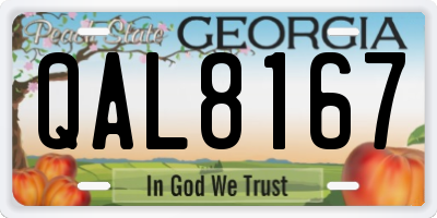 GA license plate QAL8167