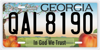 GA license plate QAL8190