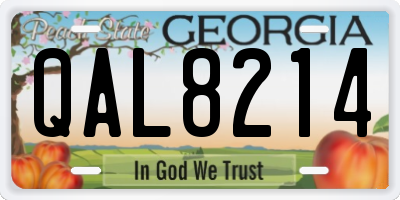 GA license plate QAL8214