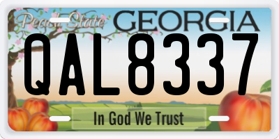 GA license plate QAL8337