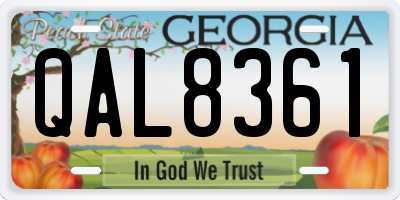 GA license plate QAL8361