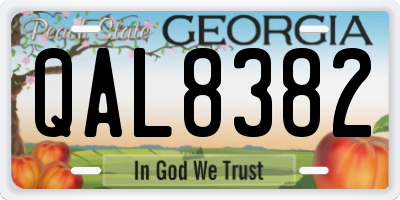GA license plate QAL8382