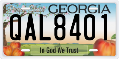 GA license plate QAL8401