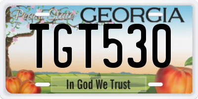 GA license plate TGT530
