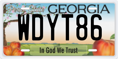 GA license plate WDYT86