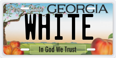GA license plate WHITE