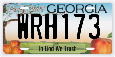 GA license plate WRH173